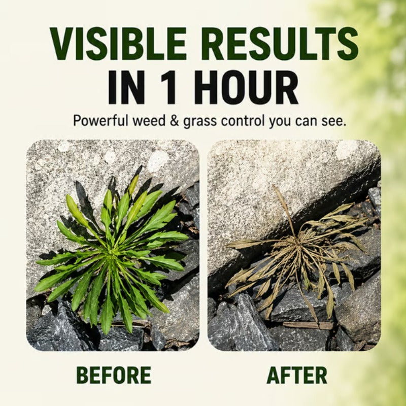 MOONBIFFY🔥2026 SALE - Fast-Acting Natural Weed & Grass Killer Spray